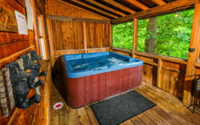 A Perfect Paradise Pigeon Forge